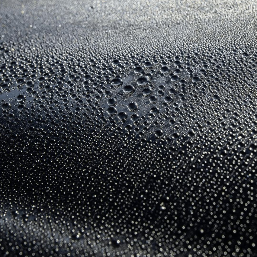 Wasserperlen auf einem Auto nach behandlung mit Dr. Wack A1 High End Spray Wax